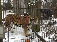 Zoo