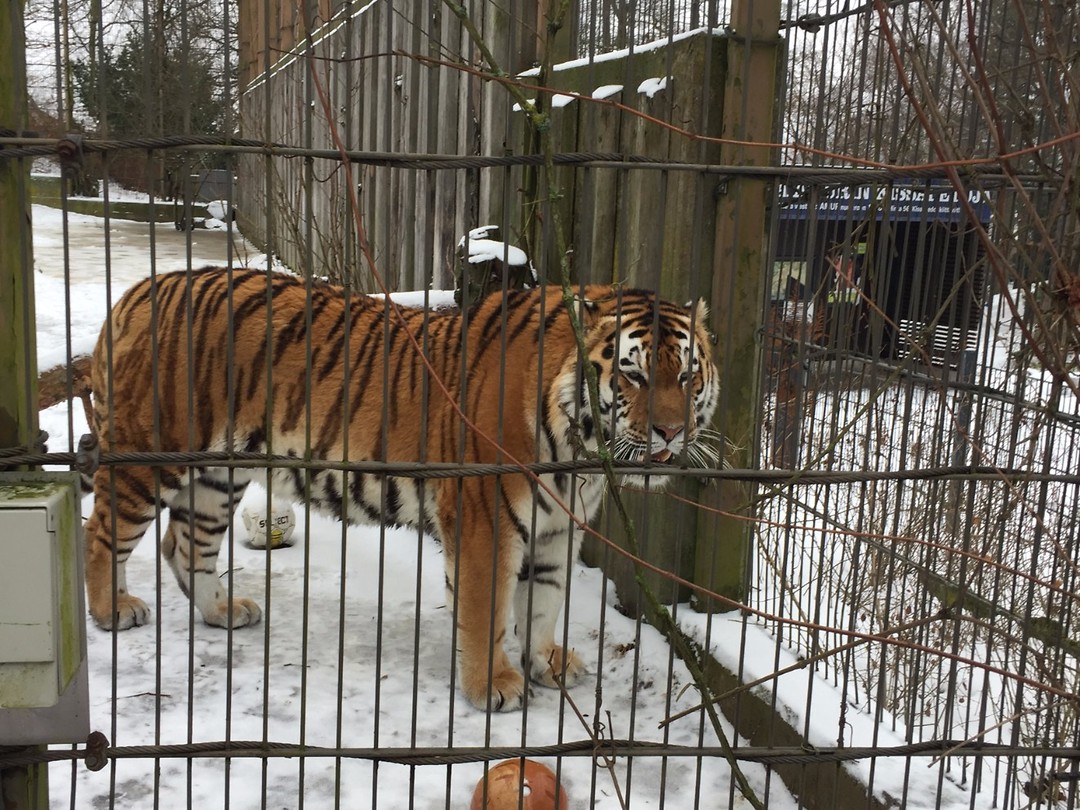Zoo