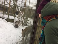 Zoo