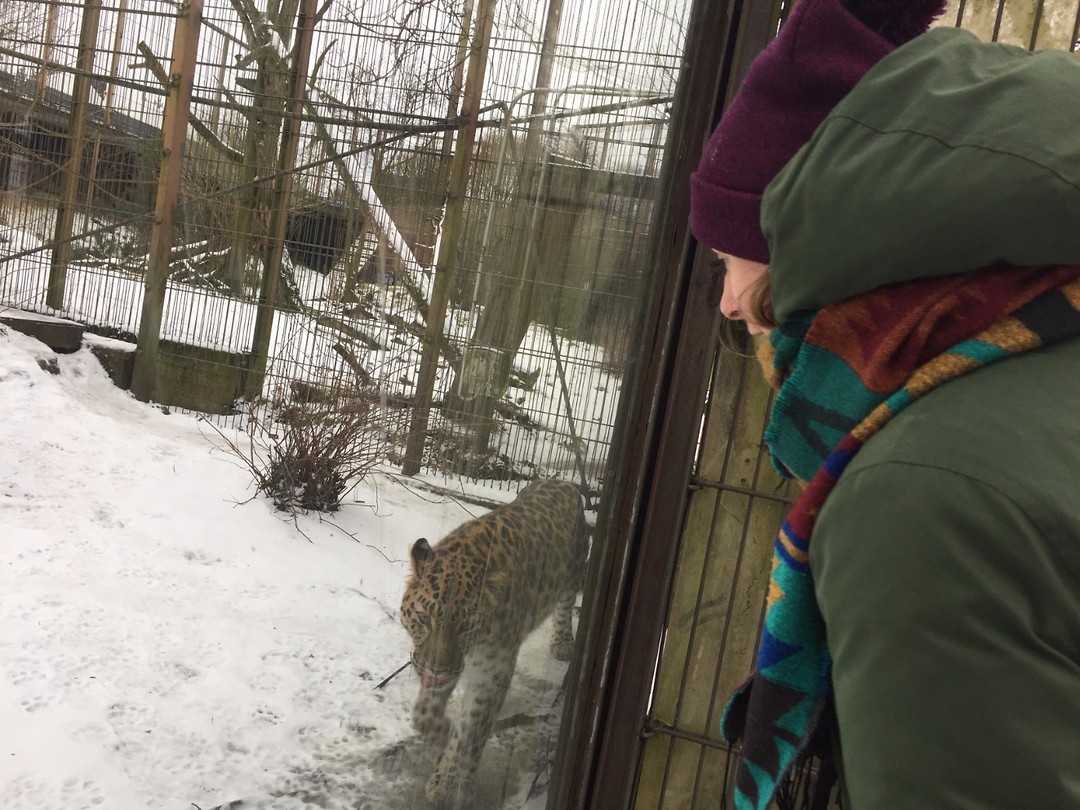 Zoo