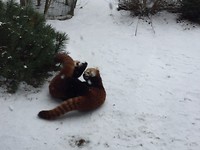 Zoo