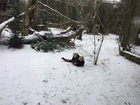 Zoo