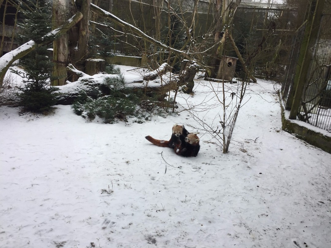 Zoo