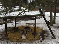 Zoo