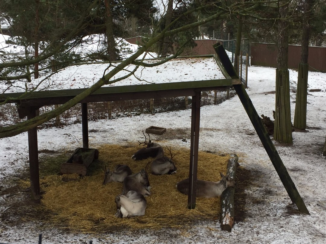 Zoo
