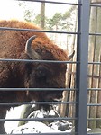 Zoo