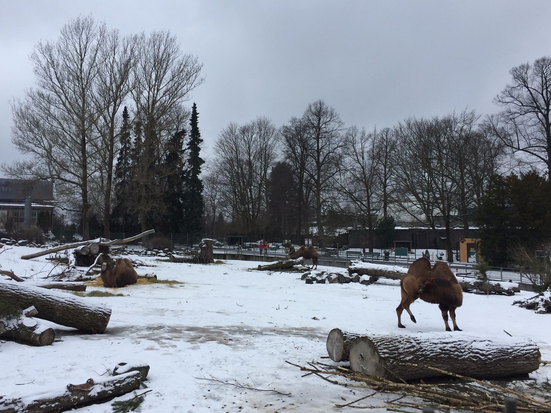 Zoo