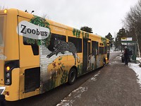 Zoo