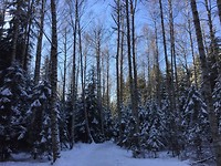 Noux Nationalpark
