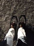 Snowshoe Safari