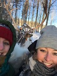 Reindeer Farm