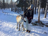 Reindeer Farm