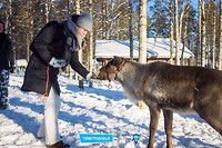Reindeer Farm