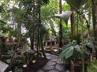 Kaisaniemi Botanic Garden