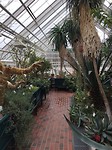 Kaisaniemi Botanic Garden