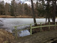 Seurasaari
