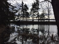 Seurasaari