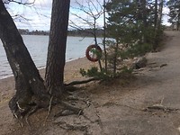 Seurasaari