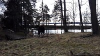 Seurasaari