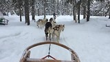 Lapland 2017!