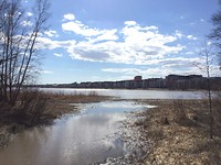Lammassaari