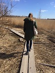 Lammassaari