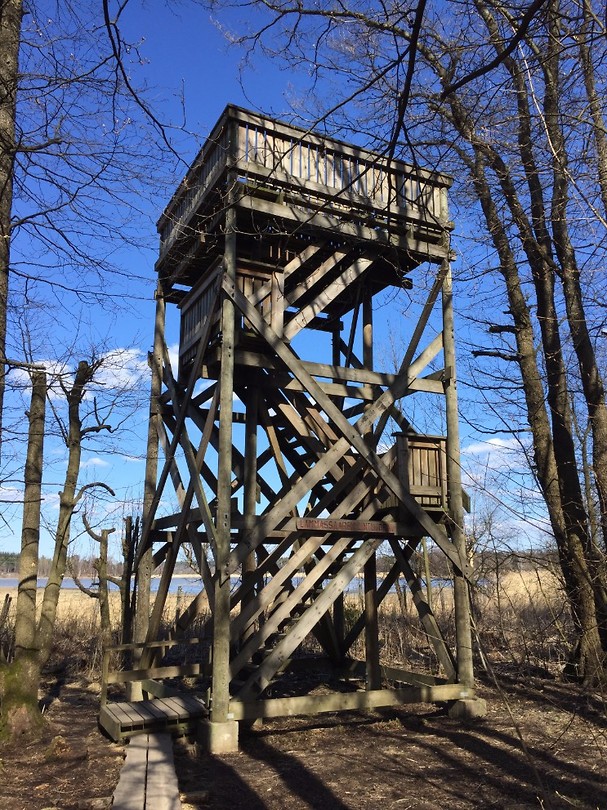 Lammassaari