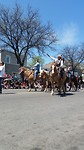 In the Heart of the Beast Parade