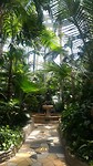 Como, het plantgedeelte