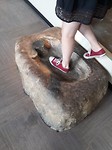 Dino's waren best groot
