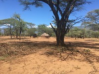 This is Africa