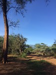 Rimoi National Reserve