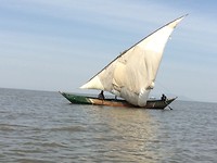 Pirates