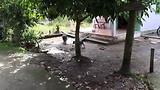20180711_090848