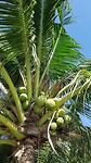 IMG-20180712-WA0021
