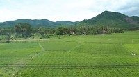 20180714_103141