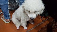 IMG-20180715-WA0010