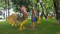 IMG-20180720-WA0010