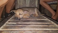 IMG-20180721-WA0031