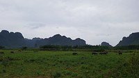 IMG-20180721-WA0023