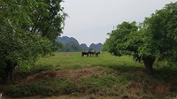 20180723_105331