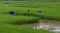 20180724_154005