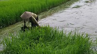 20180724_153649