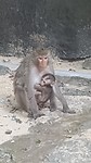 20180726_160137
