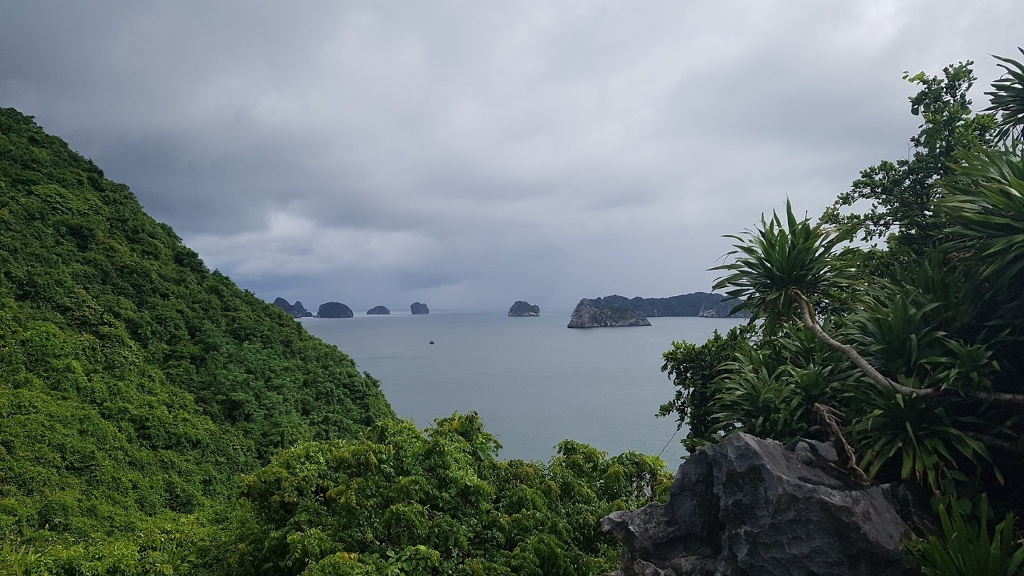 20180726_153404