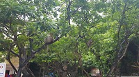 20180726_145357