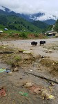20180731_133502