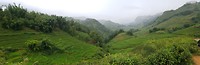 20180731_113531