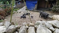 20180801_131417