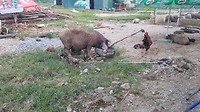20180802_183453